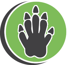 Key Groundhog Removal